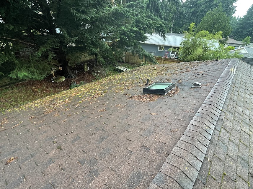 Roof Cleaning Excellence in Port Orchard, WA  Image